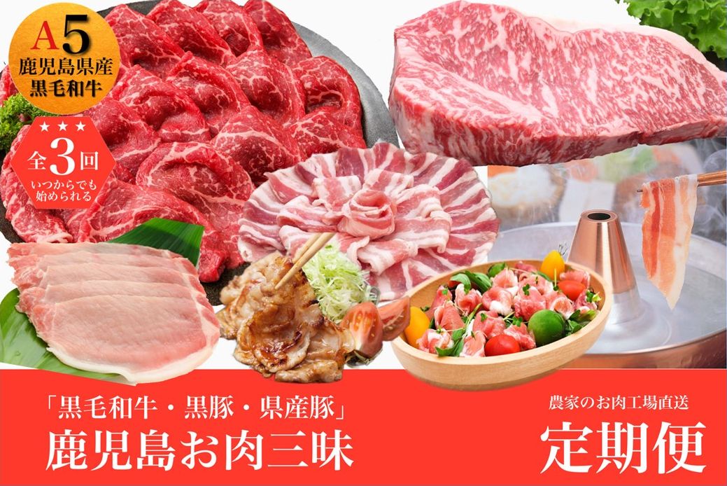 農家のお肉工場直送【3回定期便】鹿児島お肉三昧定期便 027-93