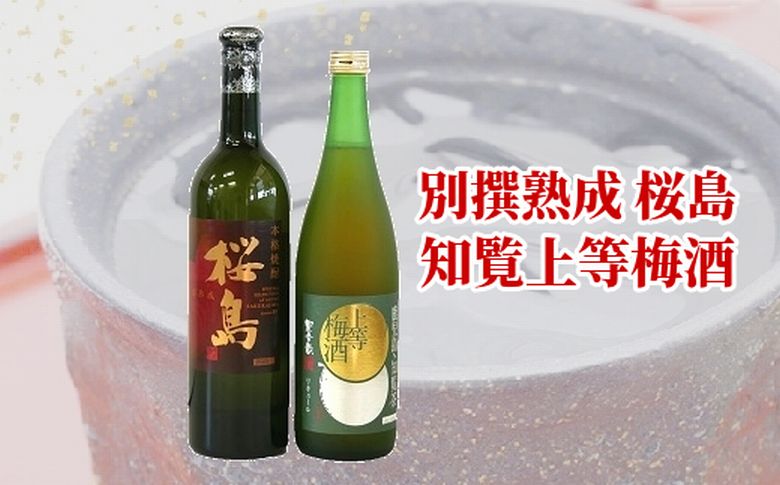 037-34 別撰熟成 桜島・知覧上等梅酒セット