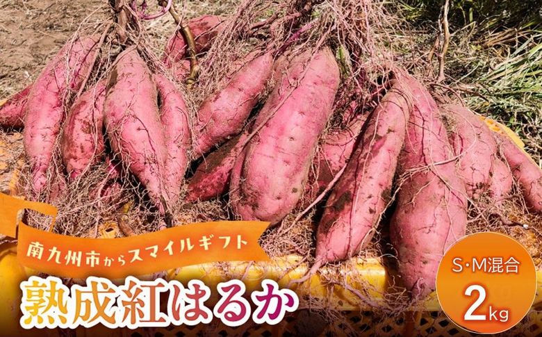 037-40 熟成紅はるか２kg