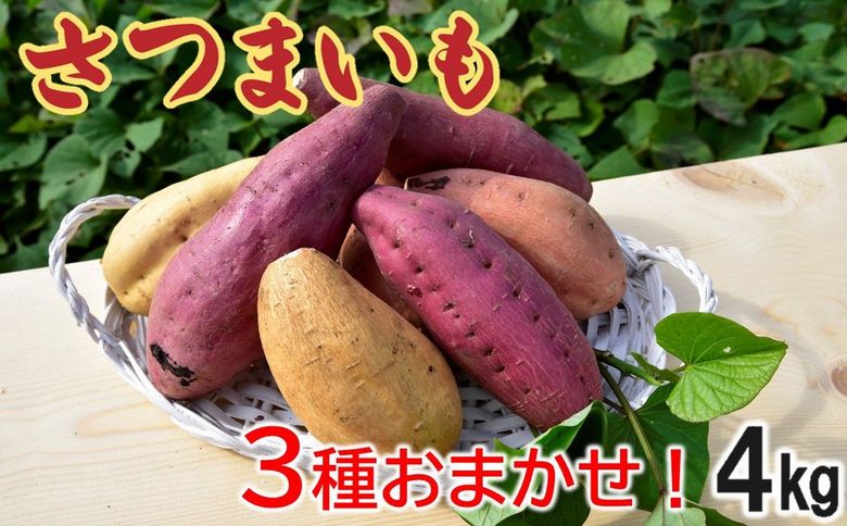 040-01 さつまいも3種おまかせ4kgセット