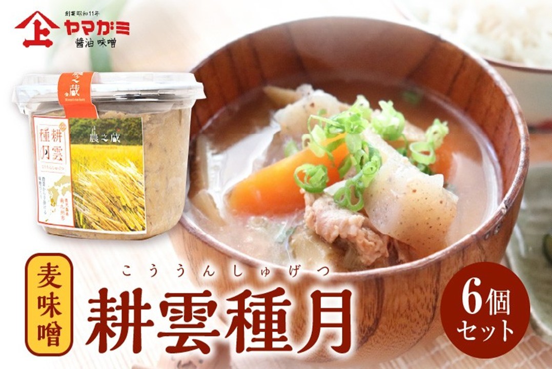 044-10 ヤマガミ「耕雲種月」味噌6個セット