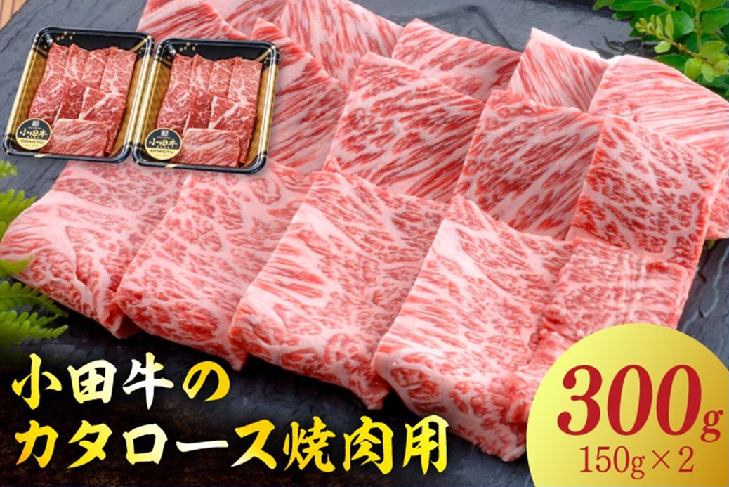 060-13-2 【期間限定・年内発送】小田牛のカタロース焼肉用300g
