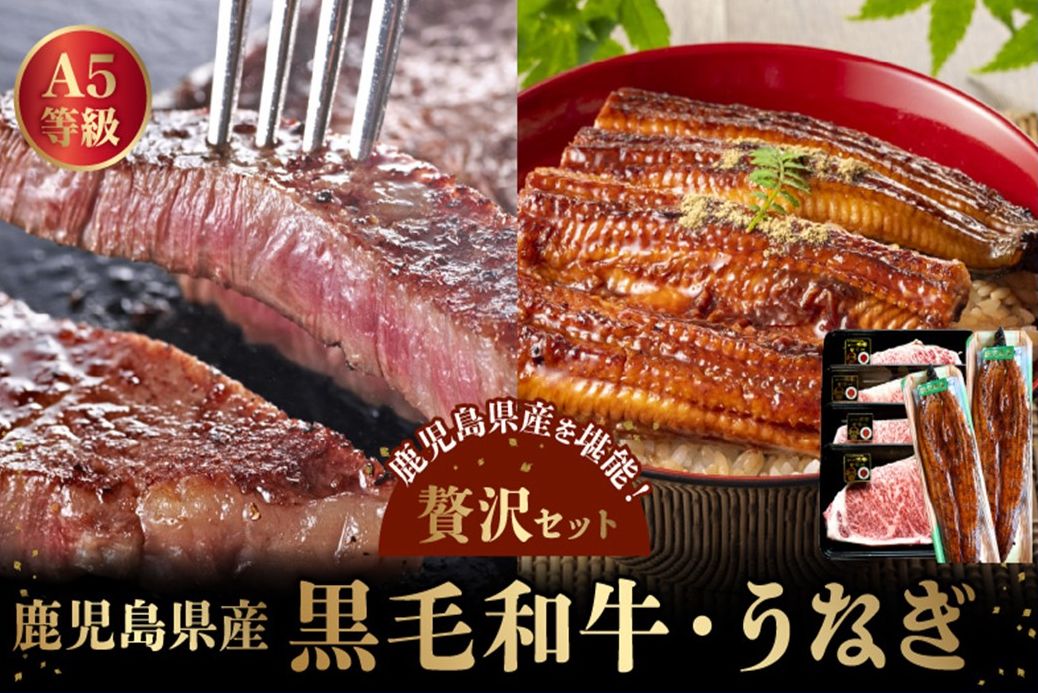106-02 鹿児島県産黒毛和牛A5等級サーロイン4枚・鹿児島県産ウナギ2尾の贅沢セット