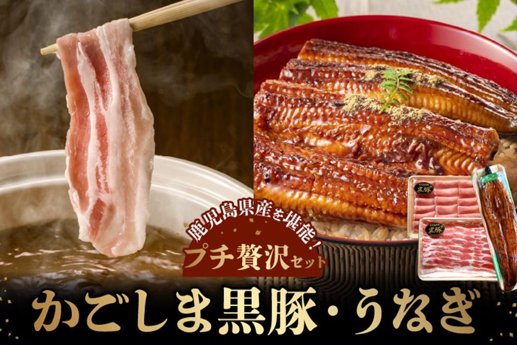 106-05 かごしま黒豚しゃぶしゃぶ用2パック・鹿児島県産ウナギ1尾のプチ贅沢セット