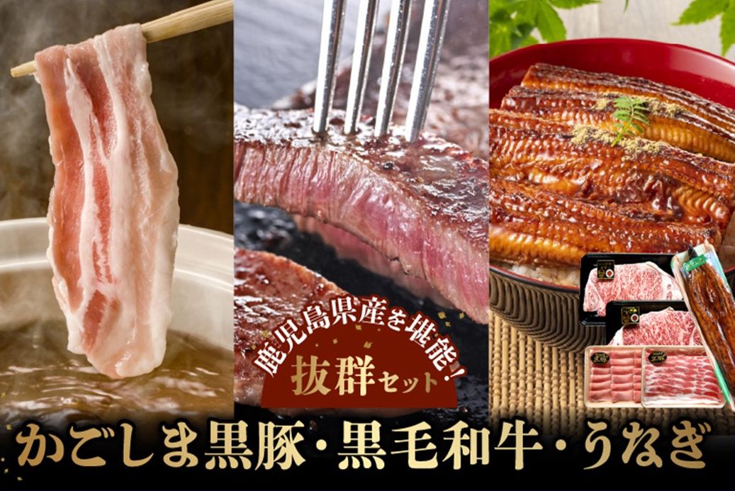 106-06 かごしま黒豚しゃぶしゃぶ用2パック・黒毛和牛サーロイン2枚・ウナギ1尾の抜群セット