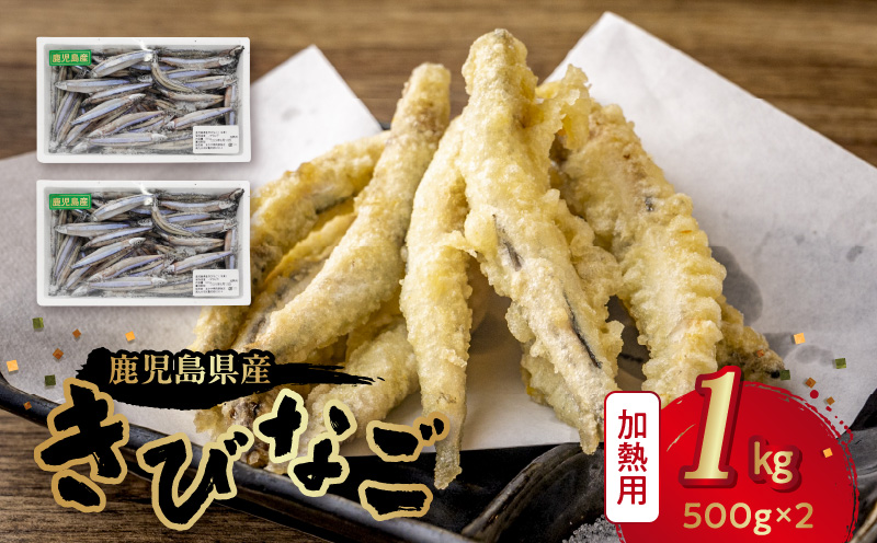 106-15 鹿児島県産キビナゴ1kg