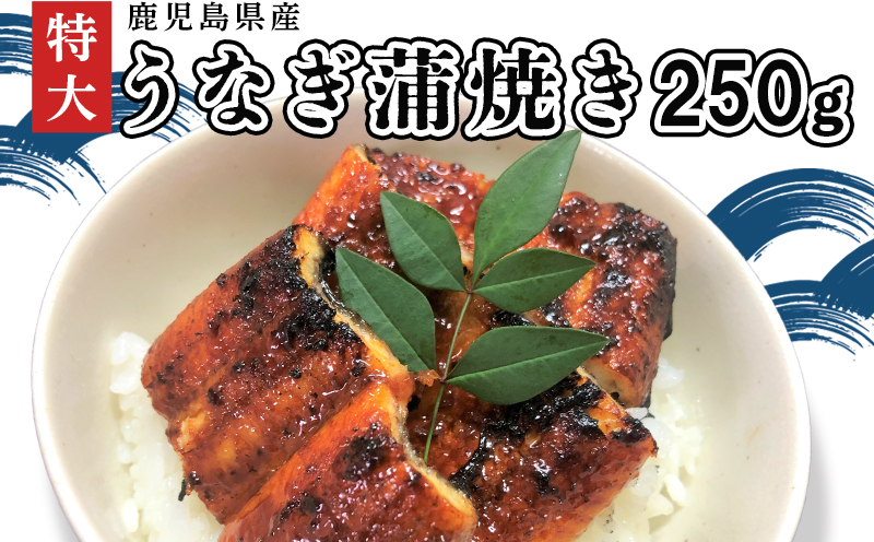 110-01 「特大」鹿児島県産うなぎ蒲焼き250g（タレ付き）