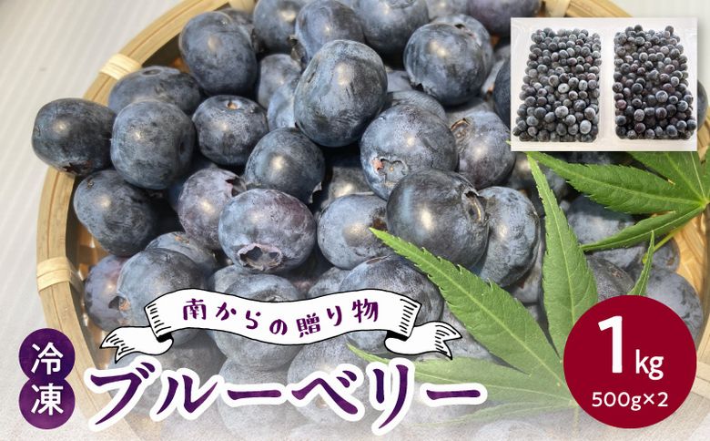 115-10 冷凍ブルーベリー1kg
