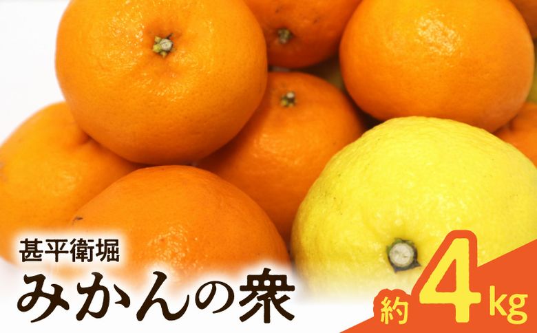 121-03 甚平衛堀　みかんの衆