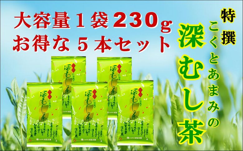 129-05 知覧茶園の特撰深むし茶 大容量 5本セット