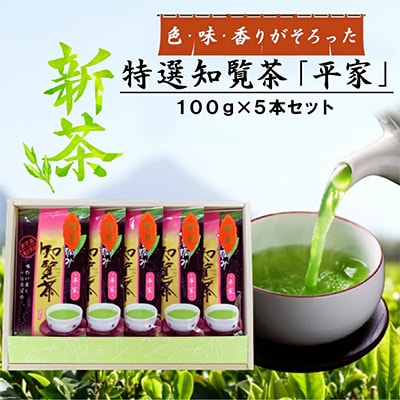 2026年産新茶平家計500g