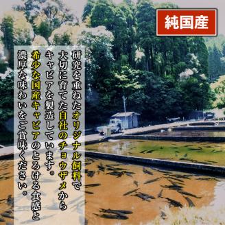 isa557 【伊佐の日・寄附額改定】〈毎月数量限定〉おまかせフレッシュキャビア(15g×1種)＆チョウザメスモーク(100g×1P)セット 国産 詰合せ 魚卵 白身 おつまみ 世界三大珍味 加工品 冷凍 冷凍便 セット【小田原養魚】