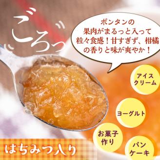isa546 《数量限定》手作りはちみつ入りボンタンマーマレード(計9個・各140g) ふるさと納税 伊佐市 特産品 加工食品 果物 フルーツ 詰め合わせ 果肉 柑橘 低糖 ハンドメイド ジャム ギフト 【薩摩美食倶楽部】