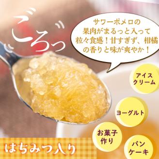 isa552 《数量限定》手作りはちみつ入りサワーポメロマーマレード(計9個・各140g) ふるさと納税 伊佐市 特産品 加工食品 果物 フルーツ 詰め合わせ 果肉 柑橘 低糖 ハンドメイド ジャム ギフト 【薩摩美食倶楽部】