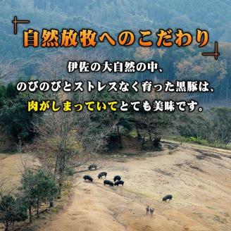 A7-07 沖田黒豚骨付きフランクソーセージ(計1.5kg・500g×3パック) 1本100gもある黒豚肉をふんだんに使用した粗挽きフランクフルト！ 九州 鹿児島 粗挽き 豚肉 食べ応え 旨味 ウインナー バーベキュー BBQ キャンプ アウトドア 冷凍 冷凍便 【沖田黒豚牧場】