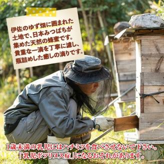 C0-05 ＜数量限定＞伊佐の垂らし蜜(600g・200g×3個) 野生種日本ミツバチが集めた貴重な蜂蜜！ゆず畑に囲まれた地域で採れた爽やかな味わいのハチミツ 国産 はちみつ 百花蜜 野生種 日本ミツバチ 蜂蜜 ハチミツ ハニー 【ゆず香房】