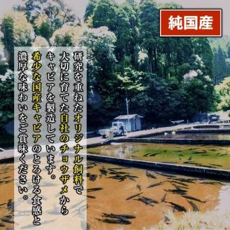 F3-01 純国産フレッシュキャビア(計60g・15g×4種類)＆チョウザメ生スモーク(200g)セット！ 国産 詰合せ 魚卵 白身 おつまみ 世界三大珍味 グルメ 贅沢 生ハム風 冷燻 加工品 冷凍 冷凍便【小田原養魚】