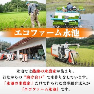 Z7-01 《数量限定》令和7年産 新米 特別栽培米 伊佐米永池ひのひかり(5kg) 伊佐市 永池 特産品 伊佐米 九州米サミット 食味コンテスト 最優秀賞受賞 ヒノヒカリ 5kg 【エコファーム永池】