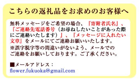 isa290 お供え用プリザーブドフラワーアレンジメント(約 高さ16×幅12×奥行12cm)ふるさとのご先祖様へ 花 贈答 年忌 お彼岸 お盆 弔事 お供え 仏花 【福岡生花】