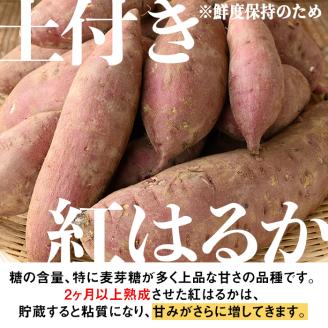 isa521 《訳あり》熟成紅はるか(約5kg・SS～LLサイズ混合) ふるさと納税 伊佐市 特産品 訳あり さつまいも 紅はるか 鹿児島 生芋 完熟 長期熟成 土付き べにはるか サツマイモ 焼き芋に【いさ工房】