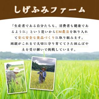 isa531 ≪期間限定≫あんしん 生黒ゴマ(計約200g・約50g×4P) 洗いごま 国産 鹿児島 胡麻 ごま 有機栽培 生ごま【しげふみファーム】
