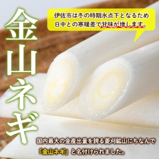 ねぎねぎさん専用 ネギ参謀オンラインショップ