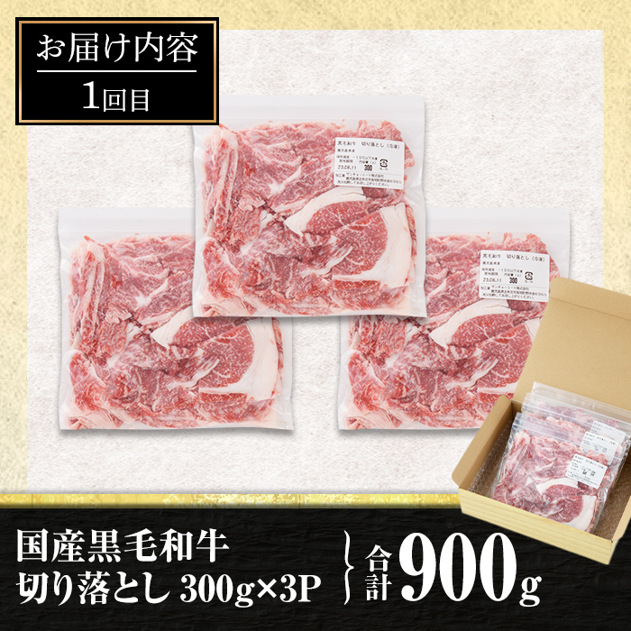 isa447 【定期便3回】牛肉贅沢コース (合計2.6kg) 国産 肉 牛肉 霜降り すきやき しゃぶしゃぶ 牛しゃぶ 冷凍 ロース カタロース 肩ロース リブロース ステーキ アウトドア BBQ 食べ比べ セット【サンキョーミート株式会社】
