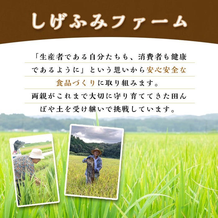 isa478 《毎月数量限定》あんしん黒米(約200g×5袋・計約1kg) 米 黒米 お米 鹿児島県 伊佐市 有機肥料 アンチエイジング 【しげふみファーム】