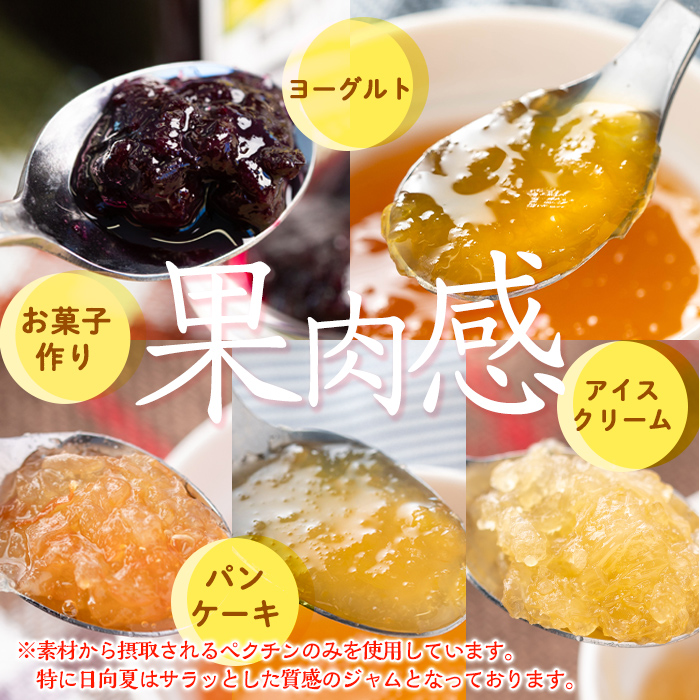 isa553 《数量限定》5種のバラエティージャム食べ比べセット(計12個・ブルーベリー×4、紅甘夏×2、ボンタン×2、サワーポメロ×2、日向夏×2) 加工食品 果物 フルーツ 詰め合わせ 果肉 柑橘  低糖 ハンドメイド ジャム ギフト マーマレード【薩摩美食倶楽部】