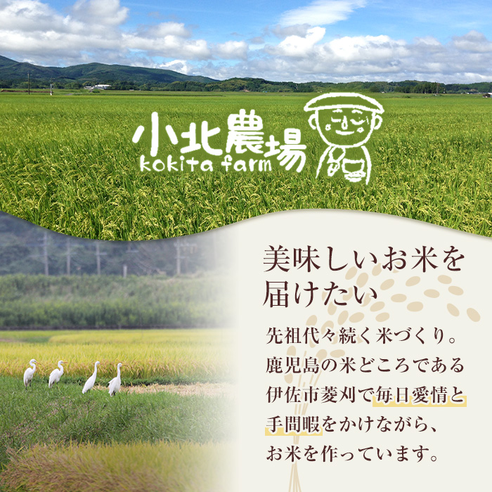 isa600 《数量限定》令和7年産 小北農場のお米 伊佐黄金米〈ヒノヒカリ〉(10kg) 鹿児島 伊佐 お米 特別栽培米 伊佐米 白米 ヒノヒカリ ひのひかり おにぎり ごはん 【小北農場】