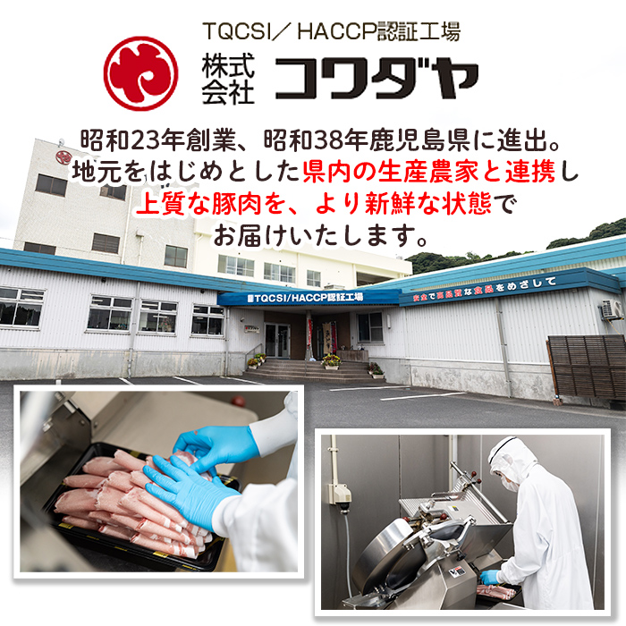 isa672 【定期便6回】＜訳あり＞鹿児島県産豚切り落とし (計15kg・(500g×5P)×6回) 国産 豚肉 真空包装 真空パック 小分け 切落とし ぶたにく 豚 肉 冷凍 【コワダヤ】