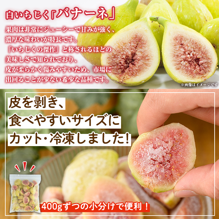 isa803 冷凍カットいちじく(計2.4kg・400g×6P) 白いちじく バナーネ バローネ 果物 フルーツ 無花果 果肉 カットフルーツ 小分け 【工房ゆう】
