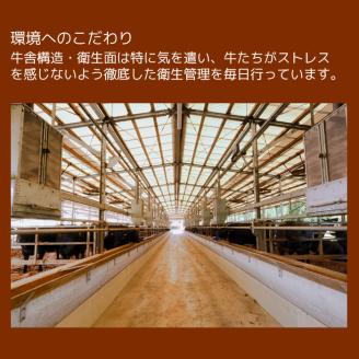 isa337 鹿児島県産黒毛和牛 伊佐黒王牛サーロインステーキ！(計500g・250g×2パック) ブランド牛 牛肉 国産 九州産 鹿児島県産 サーロイン 焼肉 ステーキ肉 和牛 ギフト 肉 贈り物 プレゼント 【プラン・ビー】