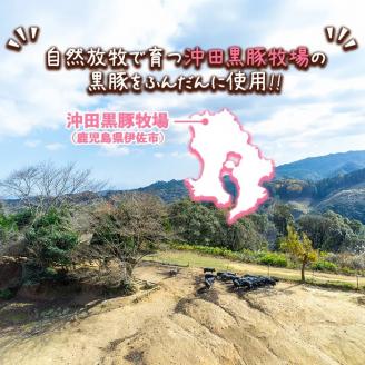 A2-06 伊佐の豚味噌(計750g・150g×5個) 自然放牧で育つ沖田黒豚牧場の黒豚をふんだんに使用！手づくり麦味噌・伊佐産の生姜や唐辛子を使った地元の豚みそ 豚味噌 自然放牧  黒豚 手づくり 麦 味噌 生姜 唐辛子 豚みそ ご飯のお供【工房ゆう】