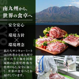 isa574 ＜訳あり＞九州産和牛ロース大判焼肉(合計1kg・3枚～4枚) 4等級以上国産 真空包装 真空パック リブロース ステーキ 牛 うし 牛肉 アウトドア BBQ 冷凍【サンキョーミート株式会社】