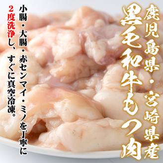 isa341 鹿児島県・宮崎県産黒毛和牛みそもつ鍋(2～3人前) 国産牛 モツ鍋 味噌もつ鍋 モツ 国産 おかず 鍋 ホルモン 冷凍 【株式会社ながたや】