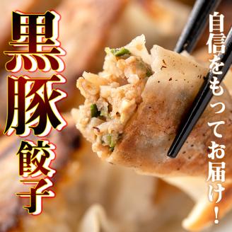 isa390 地元で人気のラーメン屋さんの黒豚生餃子！(計72個・12個入り×6P) ふるさと納税 伊佐市 特産品 鹿児島 手作り 生餃子 ギョウザ 黒豚 豚肉 冷凍食品 おかず おつまみ 惣菜 小分け 焼くだけ 簡単調理 冷凍便 ぎょうざ ギョーザ 加工品 おかず【らーめん処力】