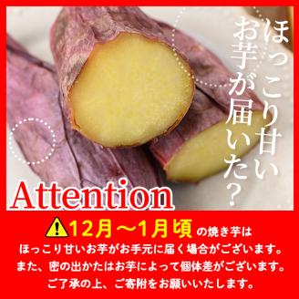 isa328 ＜2025年12月発送分(12月中に発送)＞ふみおじいちゃんのやきいも(紅はるか・計1.5kg) 冷凍 パック 小分け サツマイモ 焼き芋 天然スイーツ 焼芋 紅はるか 【いさ工房】