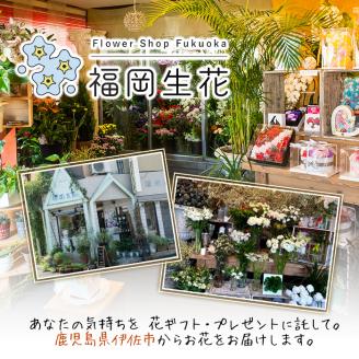 isa291 おまかせプリザーブドフラワーアレンジメント(約 高さ16×幅12×奥行12cm)ご自宅のインテリア、ギフトにも！ インテリア ギフト ブリザーブドフラワー 誕生日 プレゼント 花 お誕生日 お祝い 退職祝い お見舞い 還暦祝い ギフト お花 アレンジメント 【福岡生花】