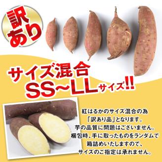 isa521 《訳あり》熟成紅はるか(約5kg・SS～LLサイズ混合) ふるさと納税 伊佐市 特産品 訳あり さつまいも 紅はるか 鹿児島 生芋 完熟 長期熟成 土付き べにはるか サツマイモ 焼き芋に【いさ工房】