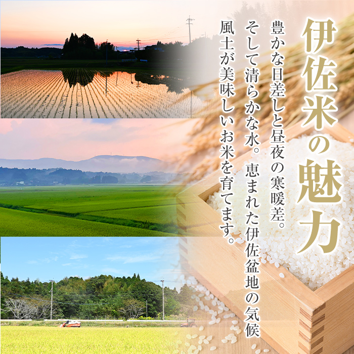 A6-02 いさひかり無洗米(5kg×2袋・計10kg) とがずに炊ける！一穂一穂大切に育てた自慢の伊佐産ヒノヒカリ お米 米 白米 精米 伊佐米 ご飯 ヒノヒカリ 無洗米【JA北さつま】