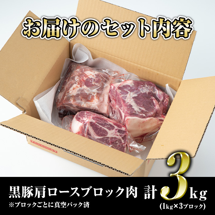 C0-07 鹿児島県産豚肉！黒豚ブロック肉(肩ロース)1kg×3ブロック(計3kg) 国産 鹿児島 九州産 豚 豚肉 肩 ロース チャーシュー 焼豚 BBQ バーベキュー キャンプ アウトドア 冷凍 冷凍便 【財宝】