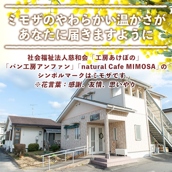 isa170 ＜予約受付中！2026年2月中に発送予定＞プレーンベーグル(16個) 天然酵母 ふるさと納税 伊佐市 特産品 パン 国産 白神こだま酵母 ヒマラヤ岩塩 焼きたて 急速冷凍 ベーグル 牛乳・卵・バター不使用 ベーグルサンド 就労支援 【工房あけぼの】