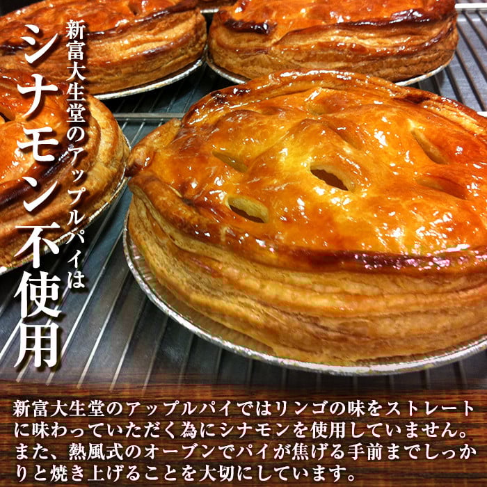isa202 ＜期間限定・2026年2月発送分＞アップルパイ(約15cmホールタイプ) 国産 りんご 林檎 リンゴ シナノゴールド スイーツ 焼き菓子 洋菓子 お菓子 おかし パイ おやつ 【新富大生堂】