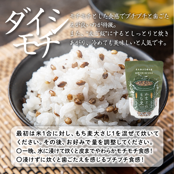 isa256 《訳あり・数量限定》鹿児島県伊佐市産もち麦！＜ダイシモチ＞(計1.8kg・300g×6袋) 国産 九州産 訳あり 麦 ごはん 穀類 お米 ヘルシー 腸活 食物繊維 【社会福祉法人ひまわり福祉会】