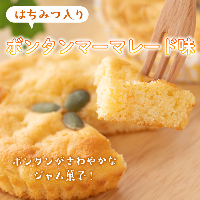 isa411 ＜数量限定＞ジャム菓子3種(ブルーベリー味6個、ボンタン味6個・かぼちゃ味6個・計18個) 詰め合わせ 洋菓子 菓子 焼き菓子 ジャム ギフト 【薩摩美食倶楽部】