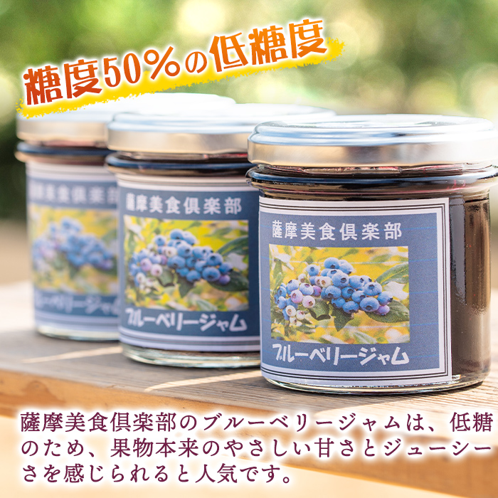 isa544 《毎月数量限定》手作りブルーベリージャム(計9個・各140g)ふるさと納税 伊佐市 特産品 加工食品 果物 フルーツ 詰め合わせ 果肉 ブルーベリー  低糖 ハンドメイド ジャム ギフト【薩摩美食倶楽部】