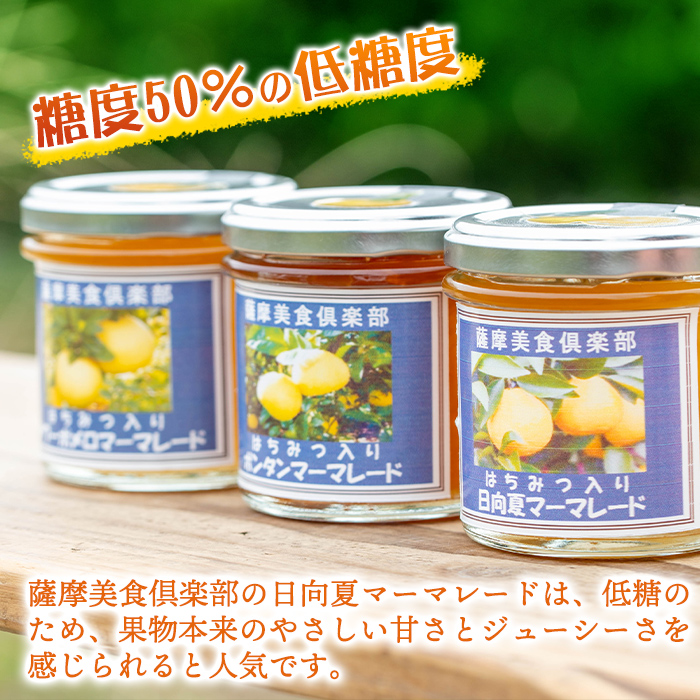 isa549 手作りはちみつ入り日向夏マーマレード(計6個・各140g)ふるさと納税 伊佐市 特産品 日向夏 加工食品 果物 フルーツ 詰め合わせ 果肉 柑橘  低糖 ハンドメイド ジャム ギフト【薩摩美食倶楽部】