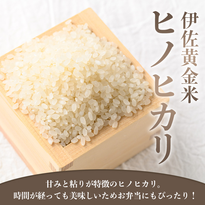 isa602 《数量限定・6回定期便》令和7年産 小北農場の新米 伊佐黄金米〈ヒノヒカリ〉(計30kg・5kg×1袋×6回) 鹿児島 伊佐 新米 お米 特別栽培米 伊佐米 白米 ヒノヒカリ ひのひかり おにぎり ごはん 【小北農場】