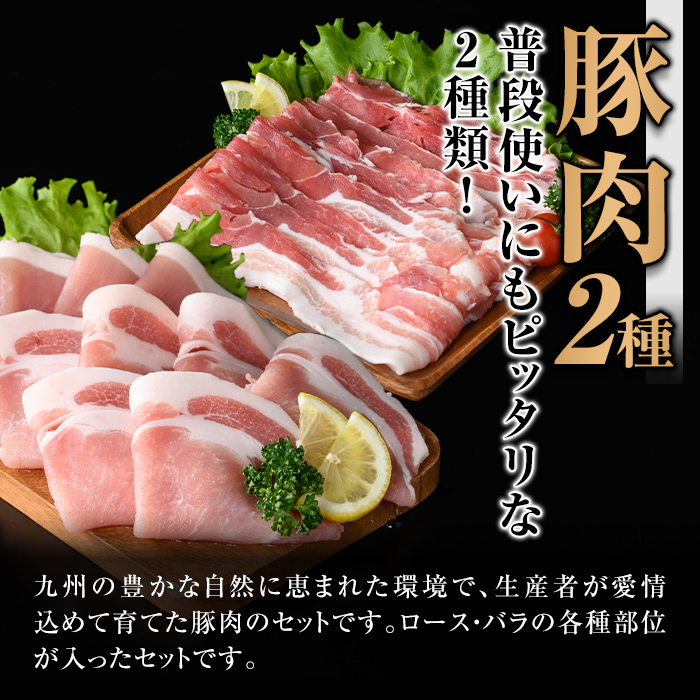 isa644 九州産 豚肉2種セット (合計1.5kg) バラスライス ロース 生姜焼き 真空包装 真空パック 小分け ぶたにく 豚 肉 詰合せ 詰め合わせ 冷凍 【サンキョーミート株式会社】